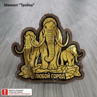 06 Мамонт Тройка
